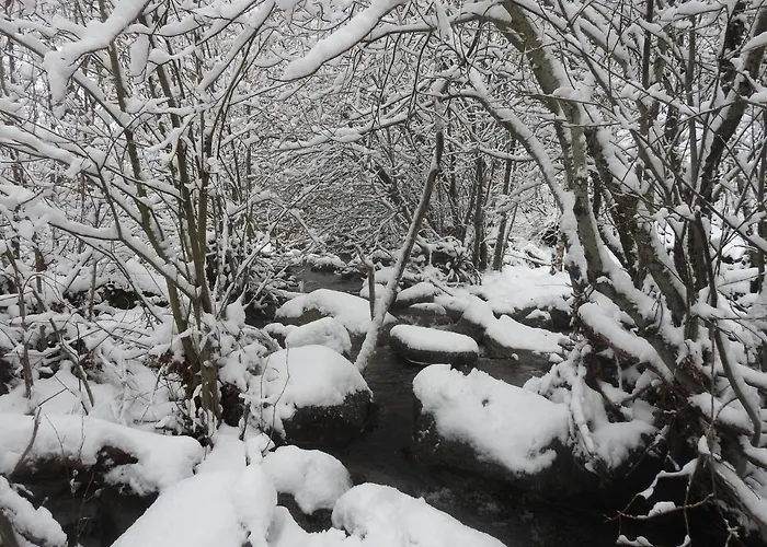 Casa De La Cigueena Vakantiehuis Candelario